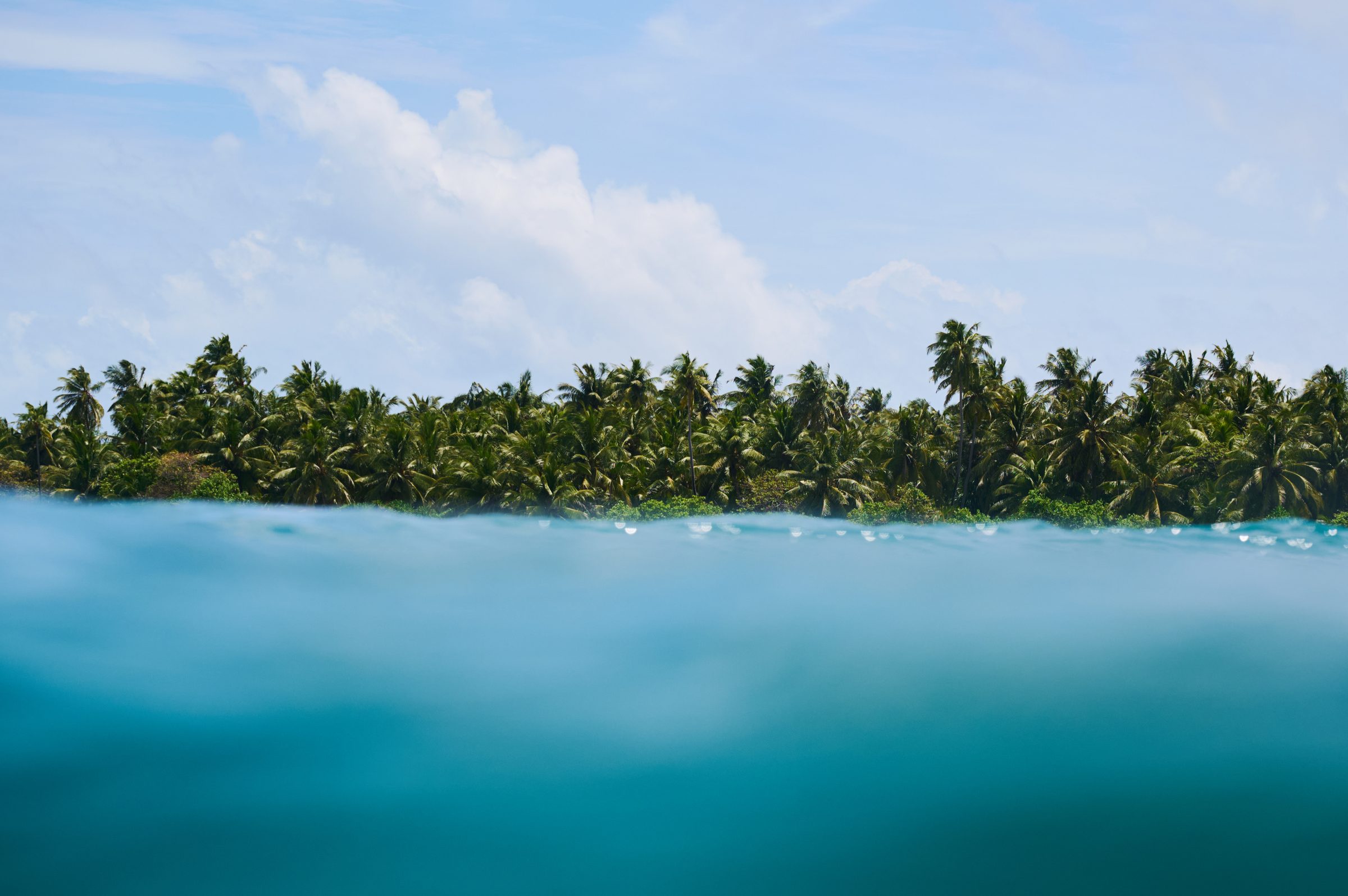 Two surfers in the ocean